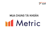 Mua chung tài khoản Metric