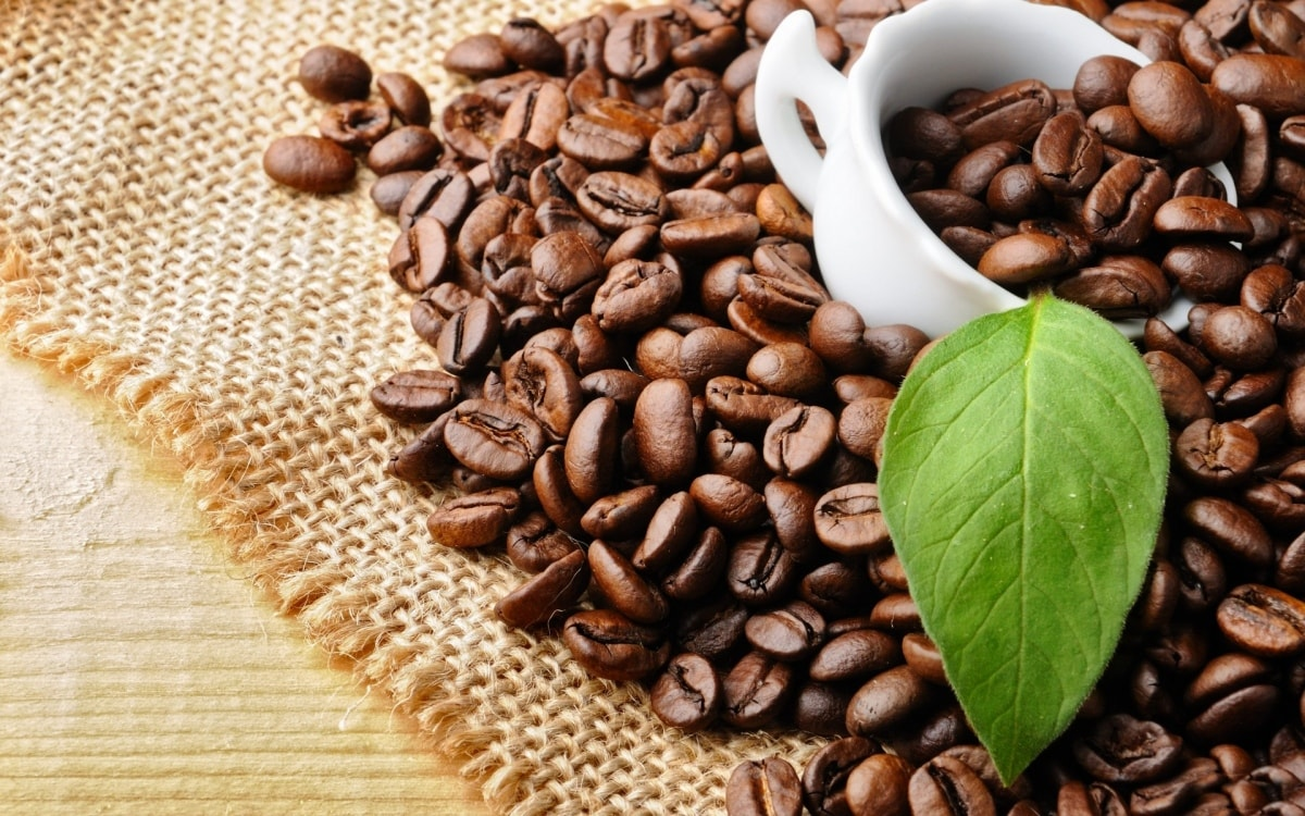 Giá Cà Phê Hôm Nay 28/6 Đắk Lắk Lâm Đồng Gia Lai Đắk Nông
