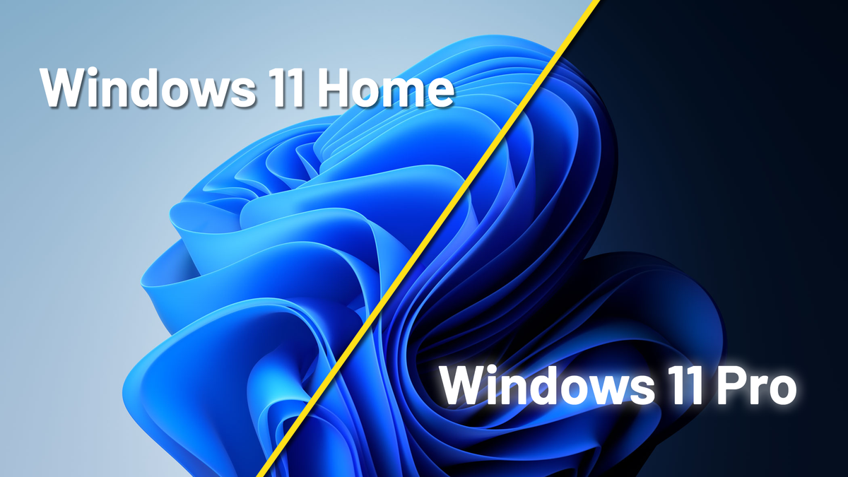 Win 11 Pro khác gì Win 11 Home?