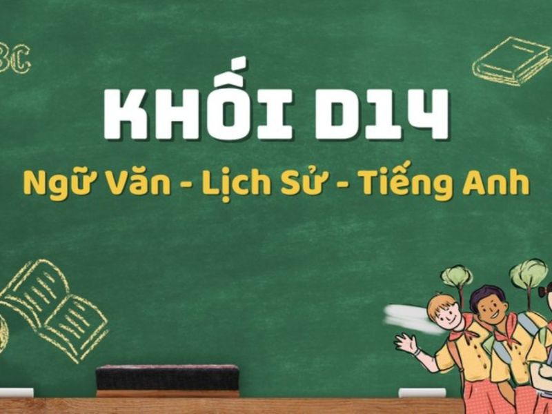 D14 gồm những môn nào