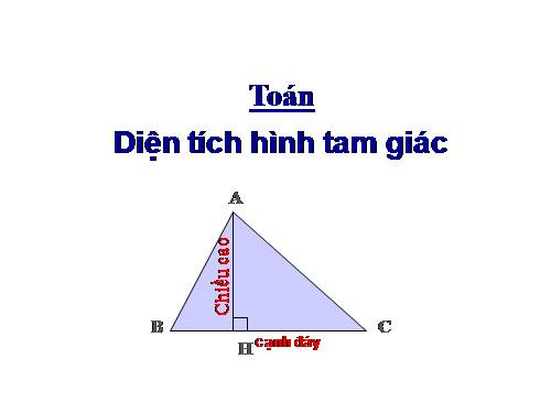 Diện tích hình tam giác