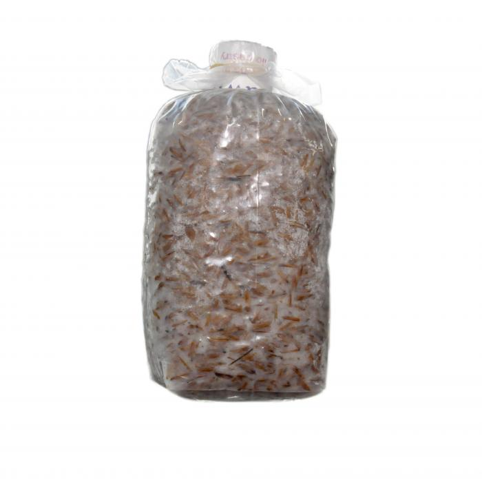 Mua bịch phôi nấm rơm - An toàn, sạch bệnh
