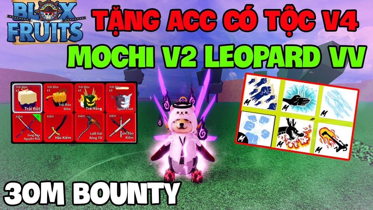 ACC Blox Fruit mochi v2, tộc v4 free mới nhất
