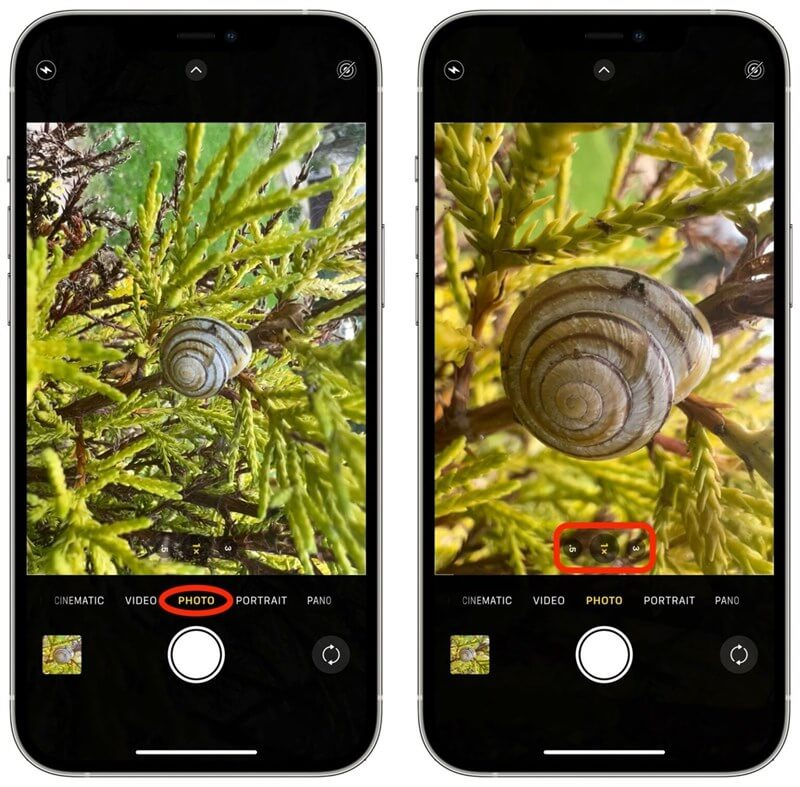 Cách chụp macro trên iphone 16 pro max