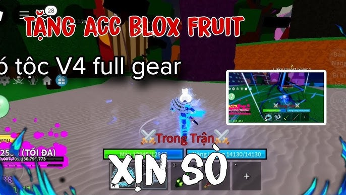 Danh sách ACC Blox Fruit mochi v2 tộc v4 free có pin 