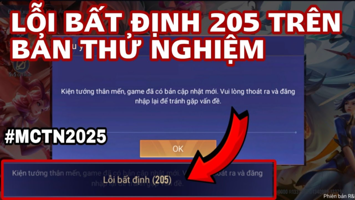 Lỗi bất định 205 liên quân